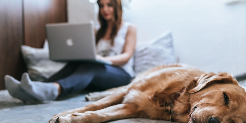 Frau mit Hund am Laptop